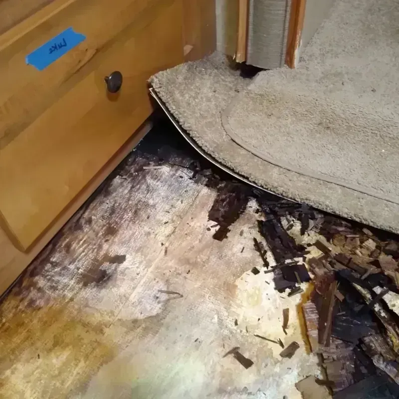 Best Wood Floor Water Damage Service in Kewanee, IL